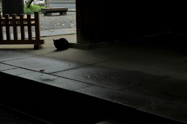 106 MINI6 DSC_3306.jpg